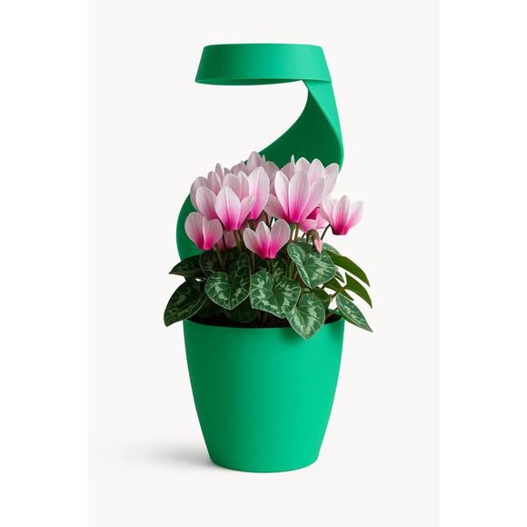 Eve,‎ Modern Self-Watering Desk Planter/Vase, Sculptural Drip Basin - Picture 4 of 8